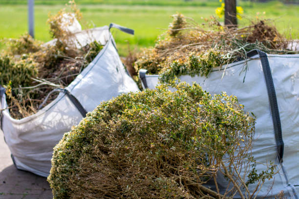 Household Junk Removal in La Villa, TX